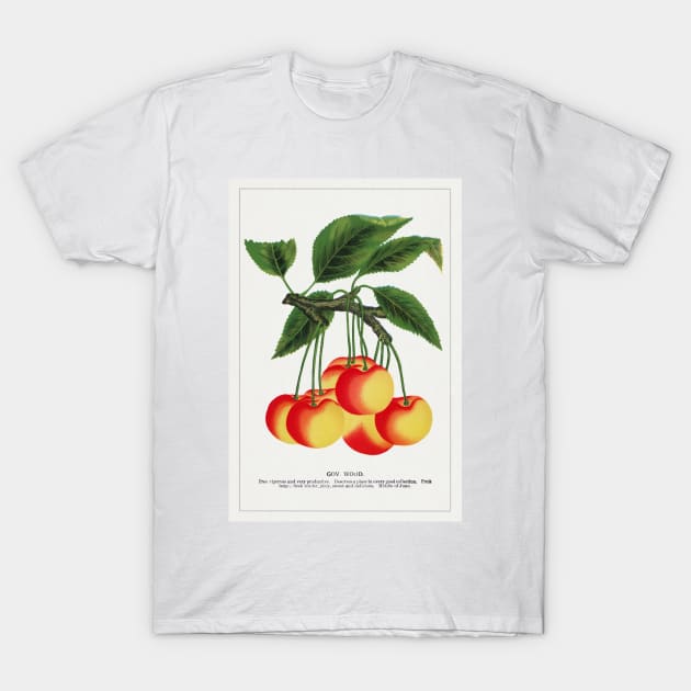 Gov Wood Cherry Lithograph (1900) T-Shirt by WAITE-SMITH VINTAGE ART